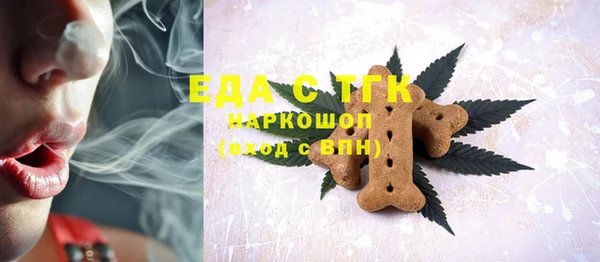 индика Алзамай