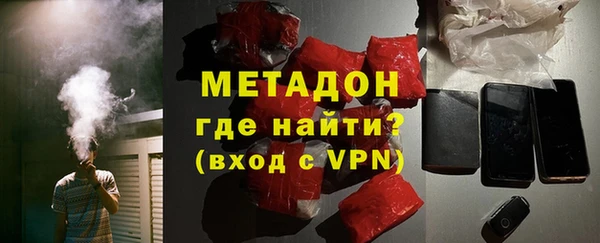 индика Алзамай