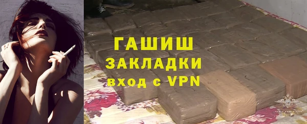 индика Алзамай
