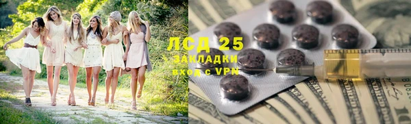 индика Алзамай