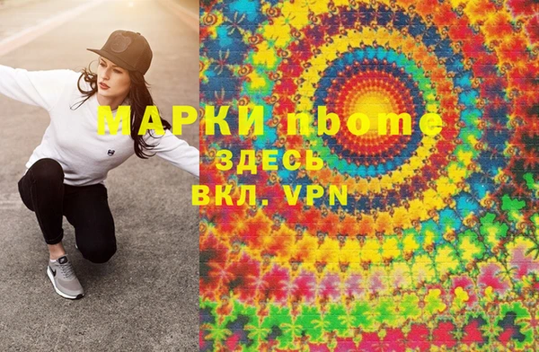 индика Алзамай